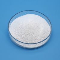 Instant Sodium Silicate Powder CAS 1344-09-8 Na2SiO3 Sodium Silicate Powder For Detergent