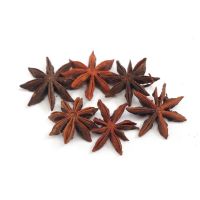 Wholesale Spcies Factory Direct Sales Ground Star Anise Spices Herb Products