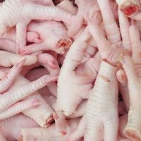 High Quality Halal Frozen Whole Chicken Feet With Best Price
