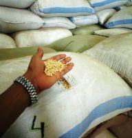 Soybean Grain In Bags Organic