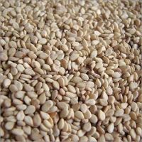 Organic White Sesame Seeds