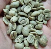 Green Coffee Beans 100% Pure Arabica Coffee Beans