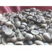 Natural Robusta Green Coffee Beans