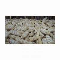 High-Quality White Maize Corn for Cereal and Flour Production