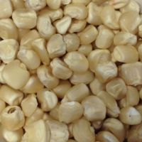 .Export-Quality White Maize Corn - Perfect for Flour and Food Products