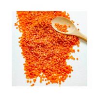 Top-Grade Tanzanian Red Lentils with Bold, Rich Flavor for Gourmet and International Cuisines