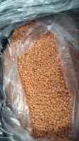 Naturally Grown Tanzanian Red Lentils with High Nutritional Value and Excellent Shelf Life