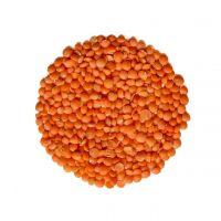 Sun-Dried, Flavorful Red Lentils with Robust Texture and Unique Taste for International Markets