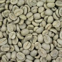 100% Raw Arabic and Robusta Green Coffee Beans