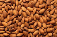 Almond Nuts Available/ Raw/ Roasted Almonds Nuts