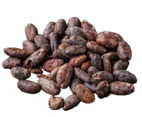 Dried Cocoa Beans For Sale In Cheap Price