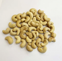 HOT SELLING Cashew Nuts High Quality 100% Organic