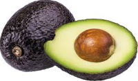 Quality Wholesaler Hass Avocado good Quality Fresh green avocado