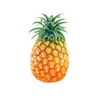 FRESH PINEAPPLE 100% Natural With HIGH QUALITY & BEST PRICE