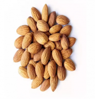 Good Quality Almond Nuts In Bulk And Vaccum Pack