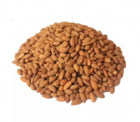 Fresh Almond Nuts For Selling Cheap Price