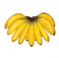 High-Quality Cavendish Banana In Cheap price 