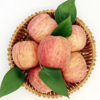 100%Wholesale Fresh Juicy Fuji Apples 