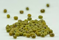 High-Quality Natural MUNG Beans In Wholesale Price