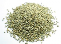 Top-Quality Pure And Natural Millet For Exports