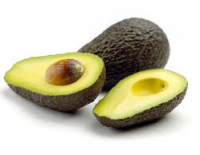 Fresh And Top-Quality Avocados For Sale Cheap Price