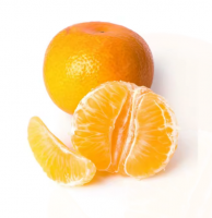 Top Grade mandarin orange fruits in cheap price