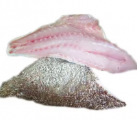 FROZEN GROUPER FISH FILLET