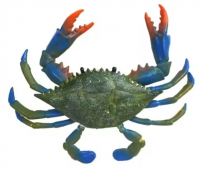 New Stock Alive/ Fresh/ Frozen Blue Swimming Crab