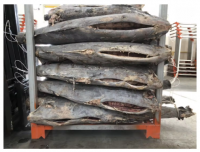 Fresh Frozen Marlin Fish For Sale