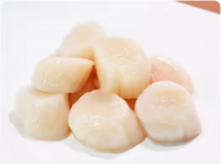 High Quality Scallop Fish Seafood With Half Shell