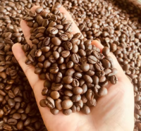  100% Pure Coffee Beans and Robusta beans with Affordable