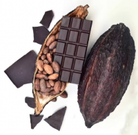 100% Cocoa Beans / Cocoa Seeds and Cocoa For Sale