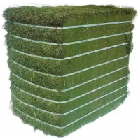 Alfalfa hay with high protein for animal feeding in bulk