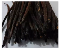 Whole Extra Grade Gourmet Vanilla Beans 16.5cm Long in best price