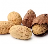 Best Grade Fresh Bitter Kola Nuts 