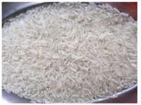 Good Grade Fresh Jasmine Rice From Netherland