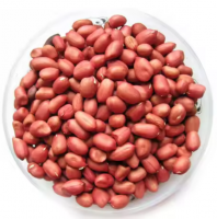 Red Peanuts Kernel / Peanut in Shell