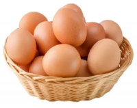 Fresh Chicken Eggs For Buyers In Good Price