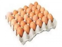 Chicken Table Eggs For Sale / Brown And White Eggs