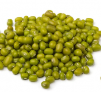 Premium Quality Conventional Natural Mung Beans Green