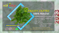 Parsley 