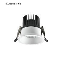 PLQ8501 IP65 Downlight