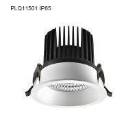 LED Downlight Waterproof Downlight PLQ11501 IP65