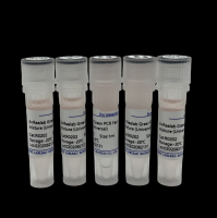 2x Realab Green PCR Fast mixture Universal