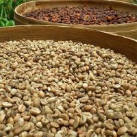 Arabic And Robusta Coffee Beans /kidney Beans 