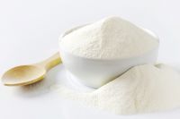 milk powder 