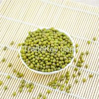 Wholesale Premium Quality Green Mung Beans