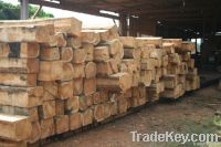 Teak Logs