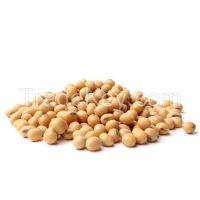 Soy beans