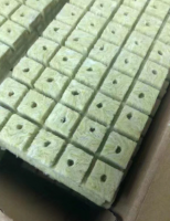 Rockwool Cubes for Hydroponics with Net Pots Hydroponics Growing System